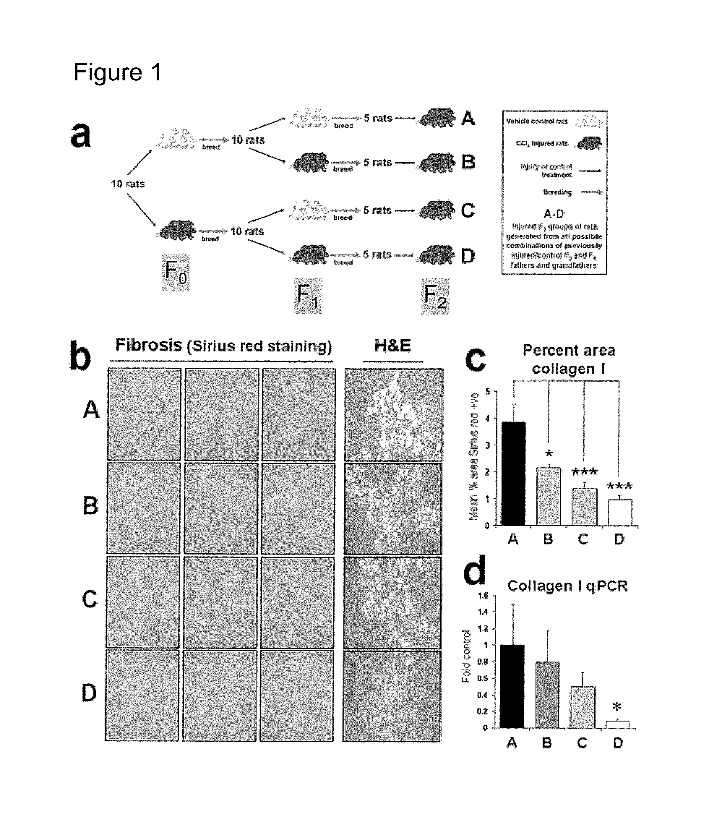 Methods relating to identification of susceptibility to liver injury