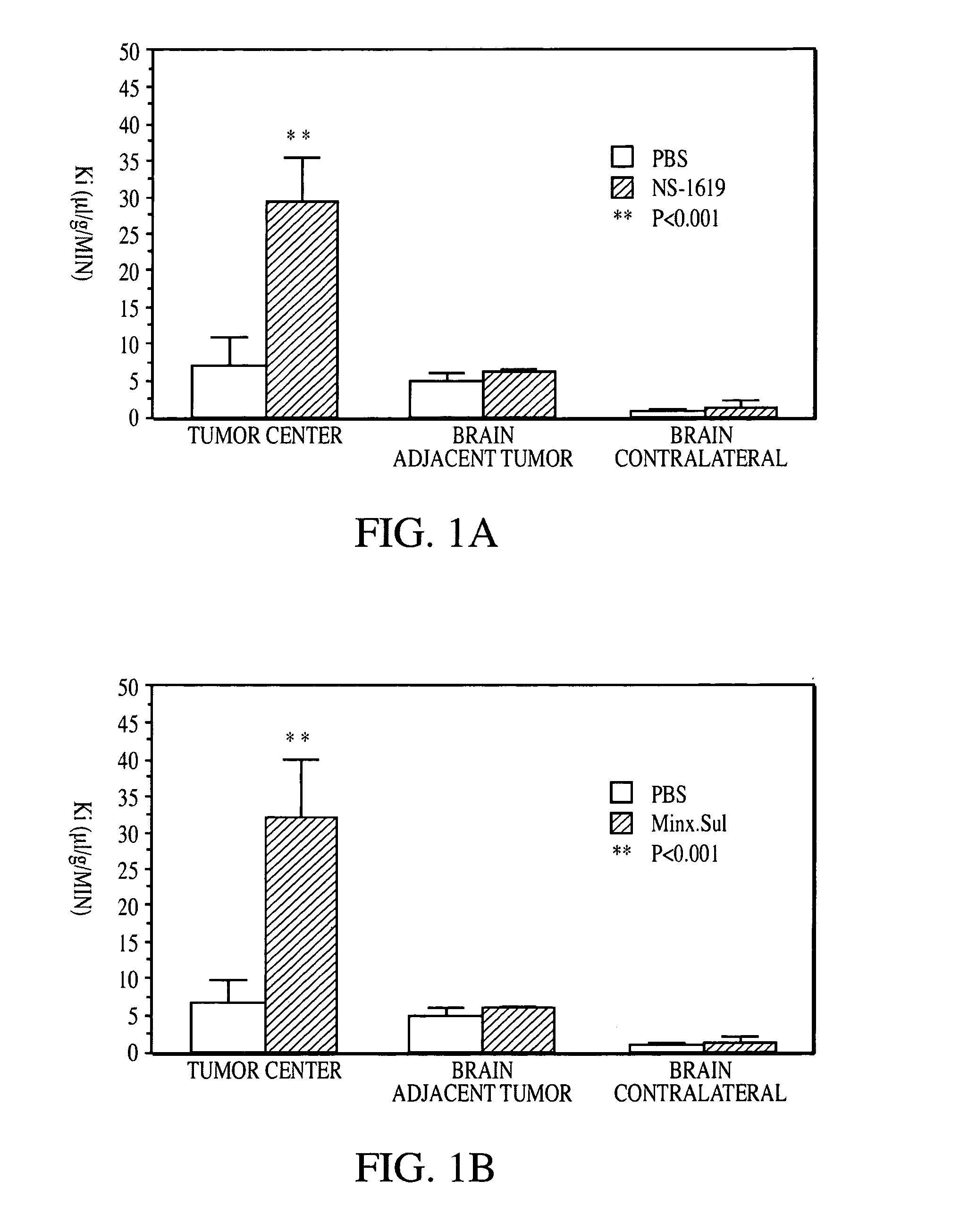 Method for using potassium channel agonists for delivering a medicant to an abnormal brain region and/or a malignant tumor