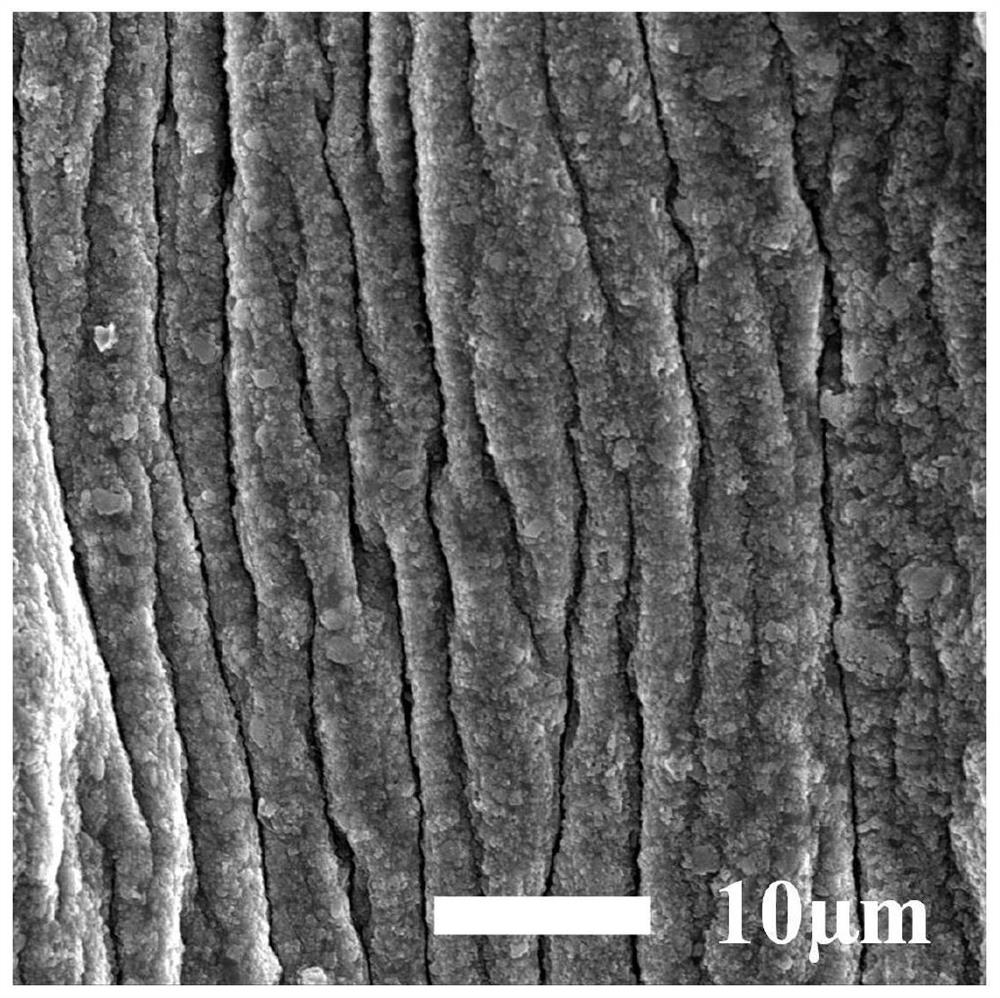 Bionic composite hydrogel as well as preparation method and application thereof