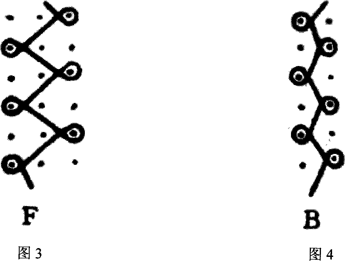 Two-layer warp-knitted tissue textile-type artificial blood vessel