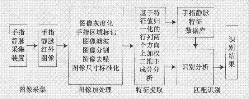 Finger vein identifying method based on characteristic value normalization and bidirectional weighting