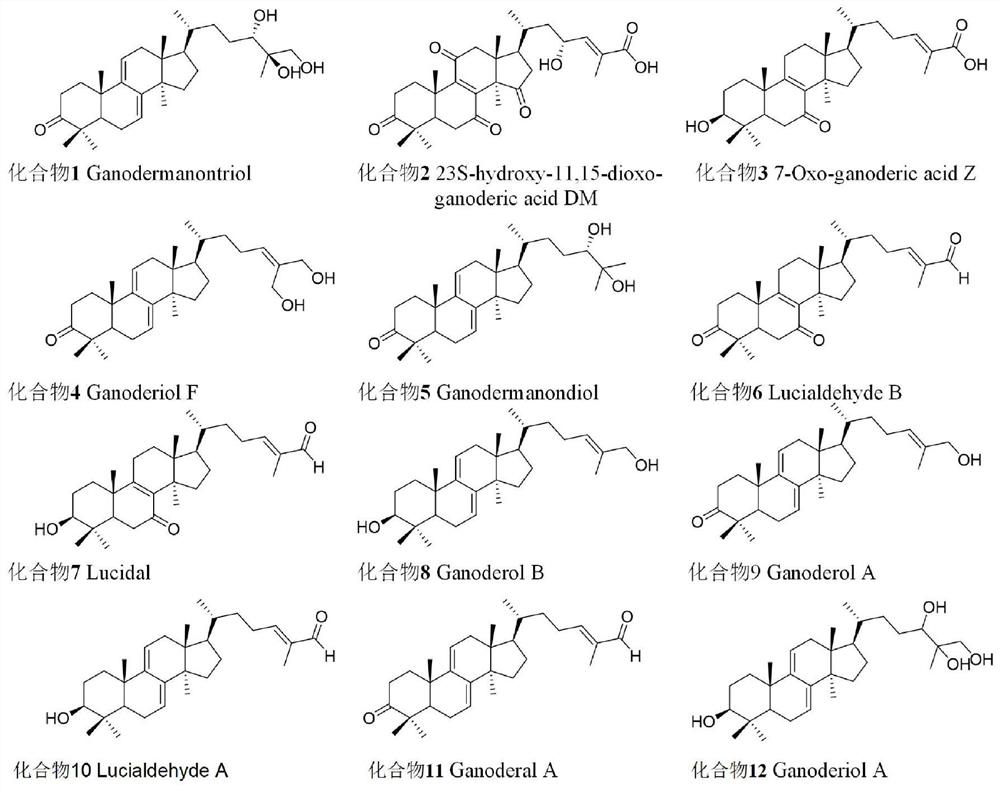 Method for detecting neutral triterpenes in ganoderma fungus