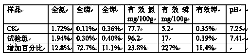 Compound bacterium agent for preparing fertilizer