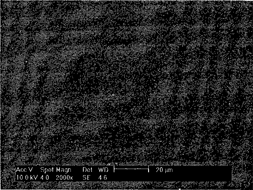 Erbium oxide hydrogen resistance coating and preparation thereof