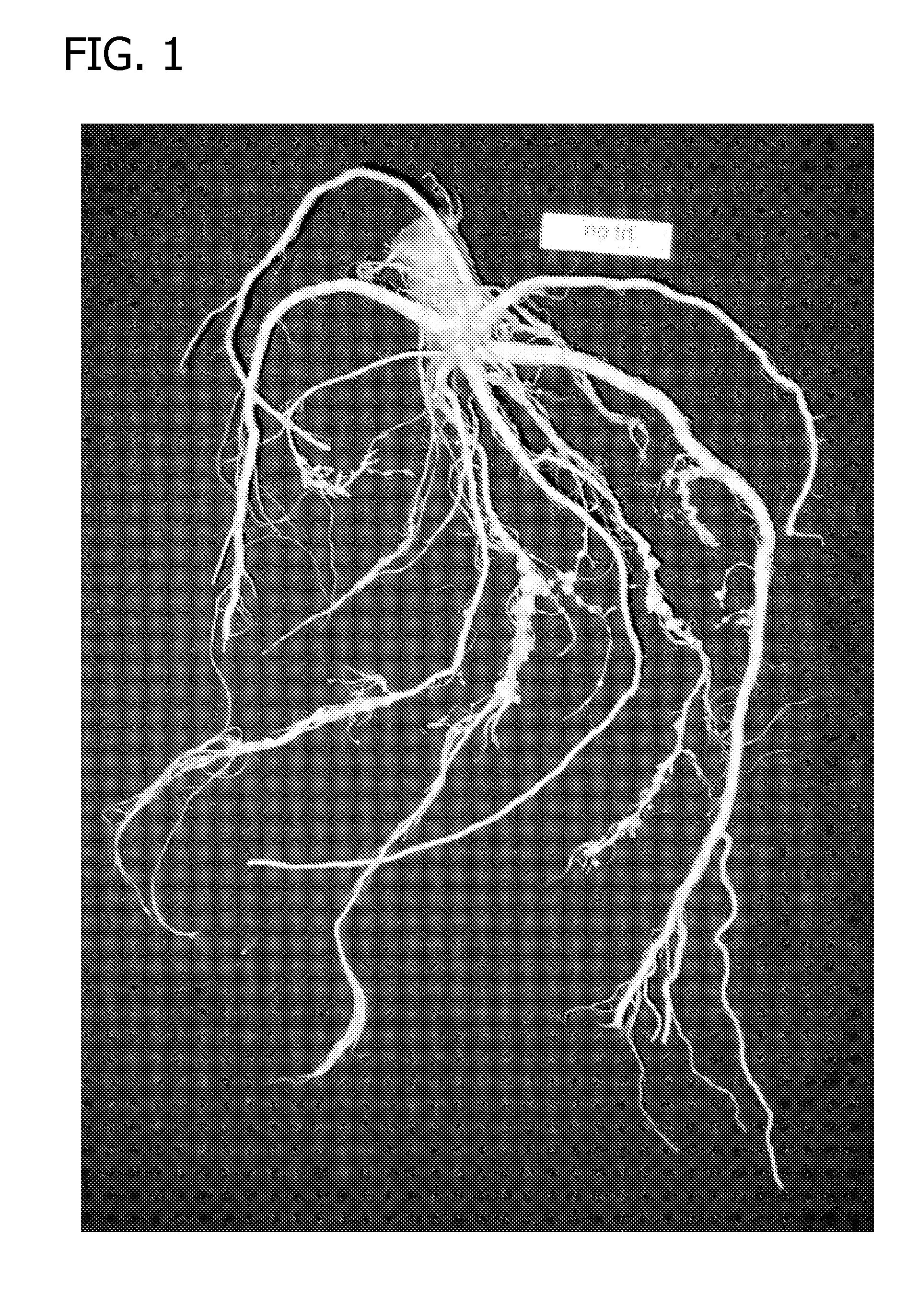 Compositions and methods for controlling nematodes