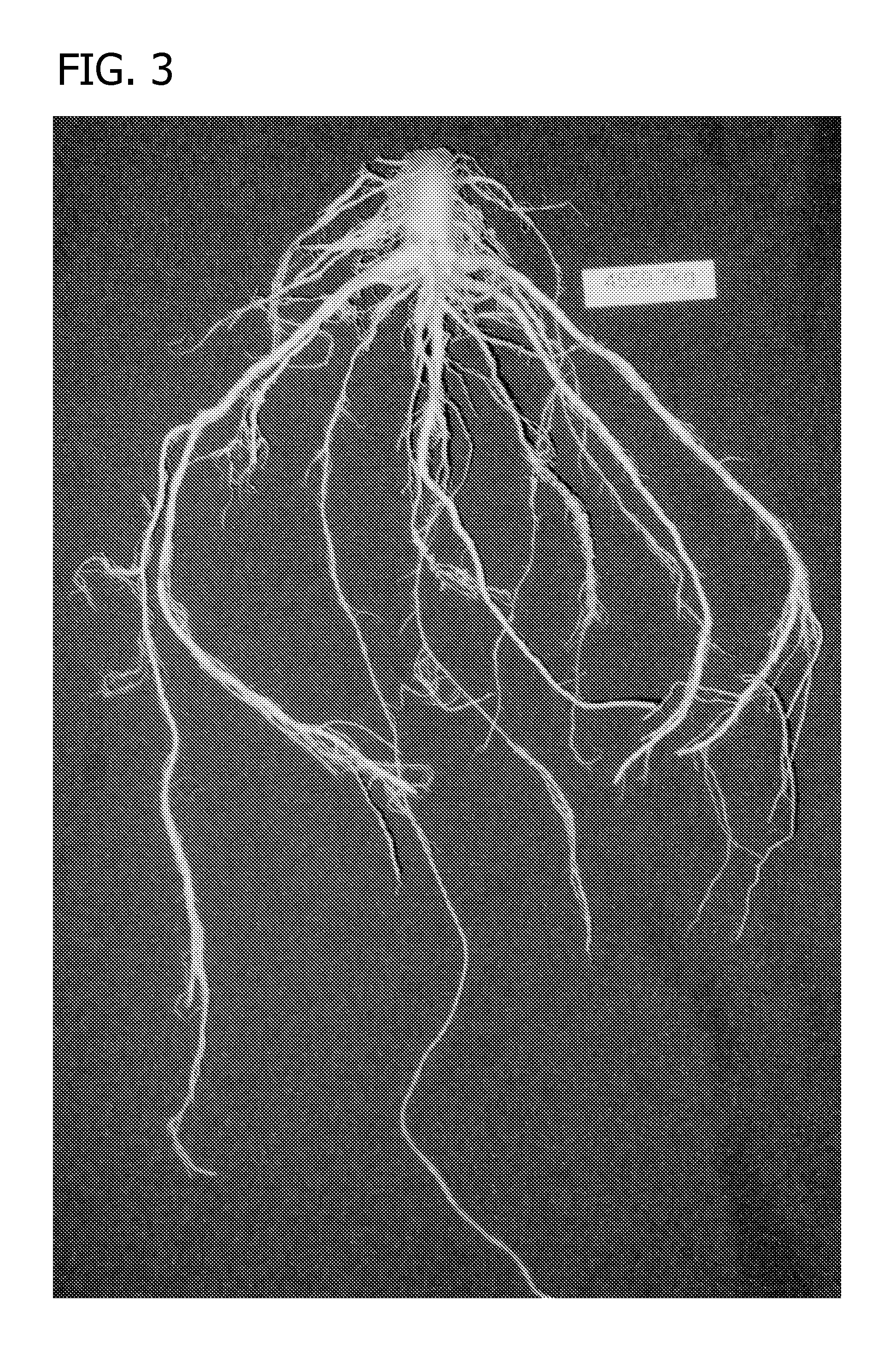 Compositions and methods for controlling nematodes