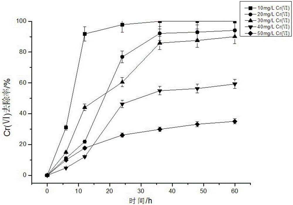 Method of treating hexavalent chromium wastewater by immobilized microorganisms