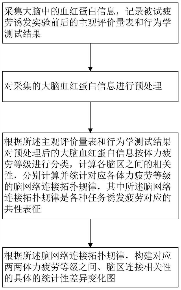 Physical fatigue detection method based on brain network topology law and system