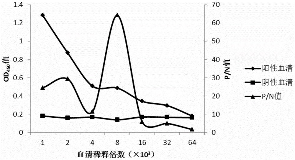 A kind of indirect ELISA quantitative detection method of halomonas strain