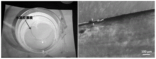 Preparation method and product of ultrathin high strength hydrogel membrane