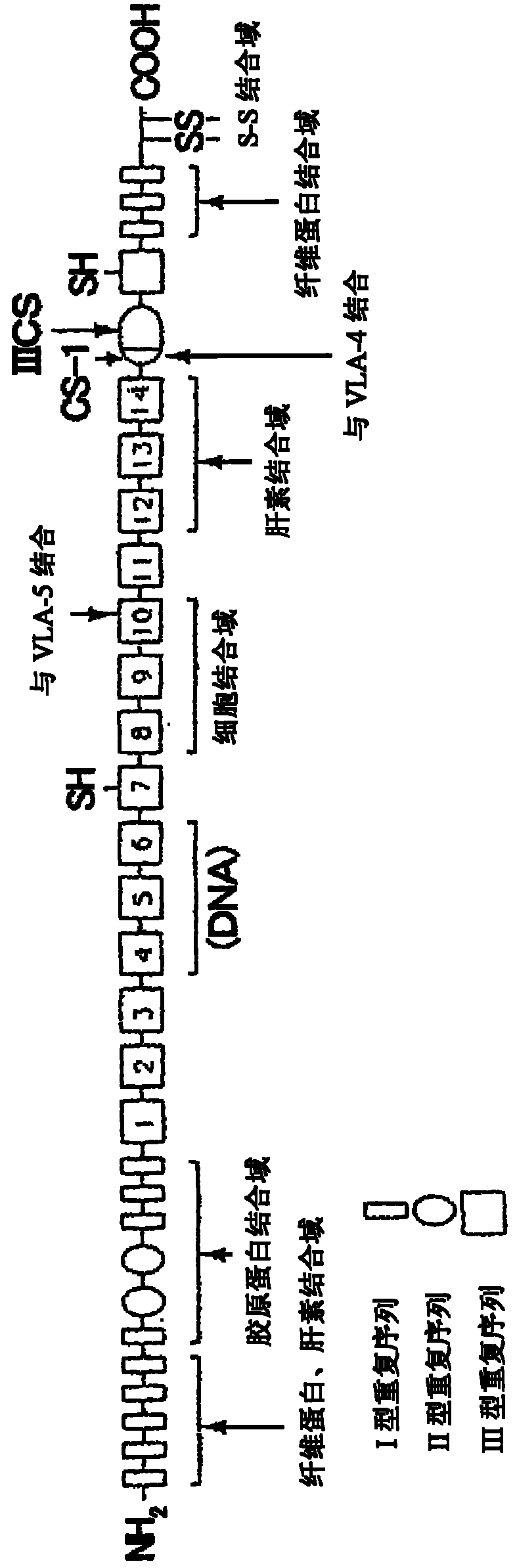 Method for production of cell mass containing cytokine-induced killer cell