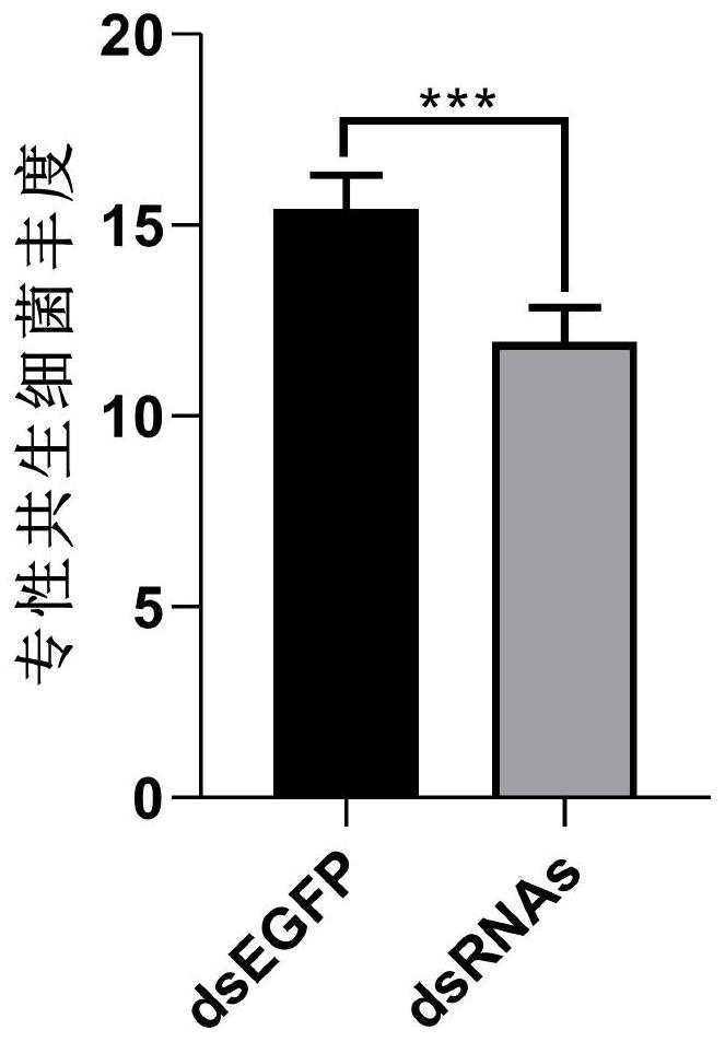 Group of bemisia tabaci prevention and control target genes and combined application thereof