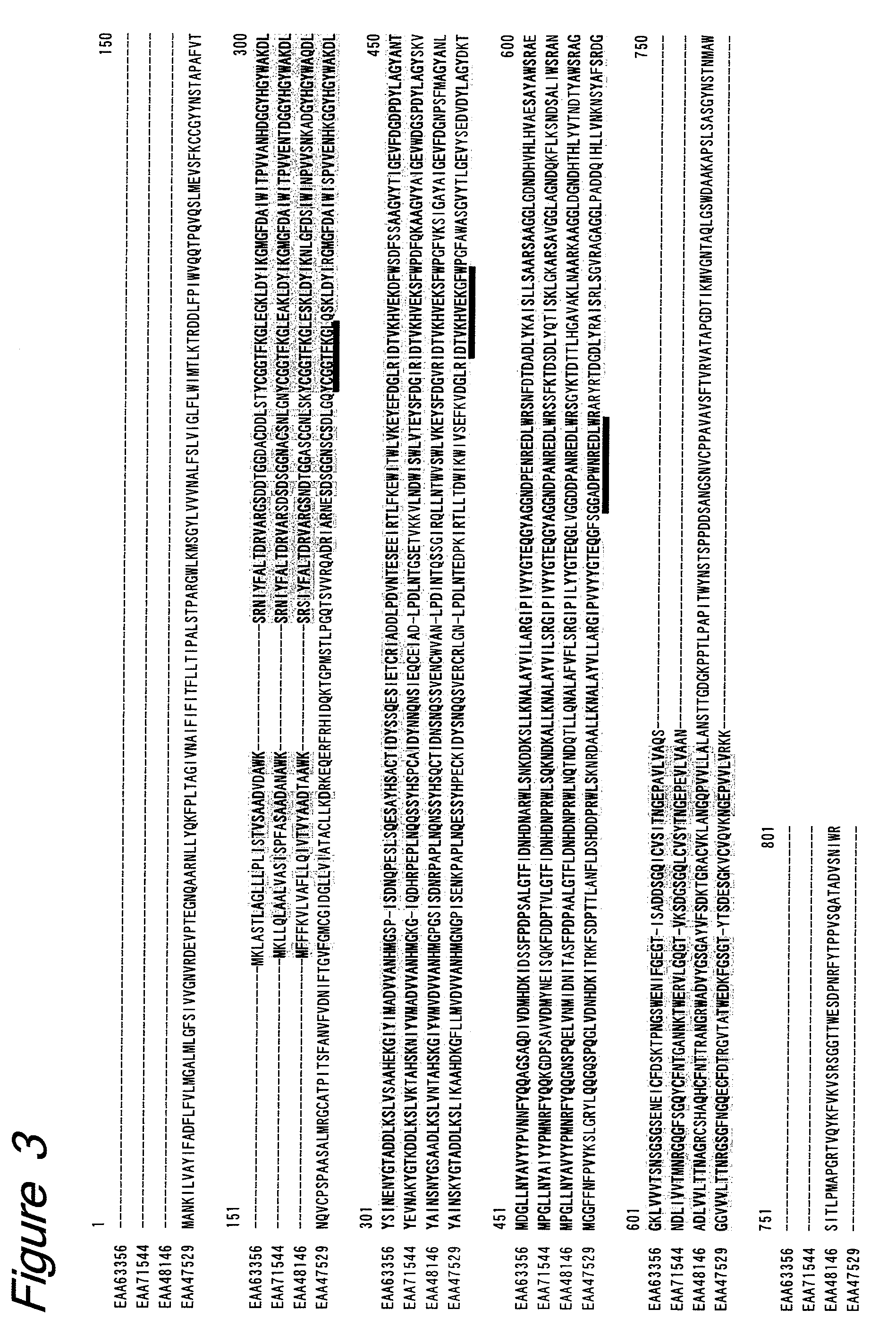 Novel glycosyltransferases and polynucleotides encoding the same