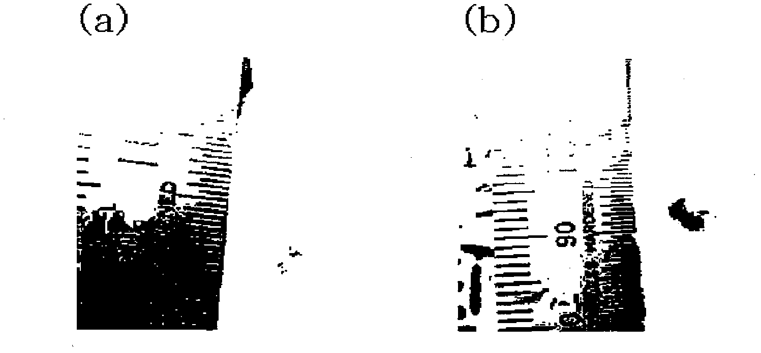 Hydrogel type cell delivery vehicle for wound healing, and preparation method thereof