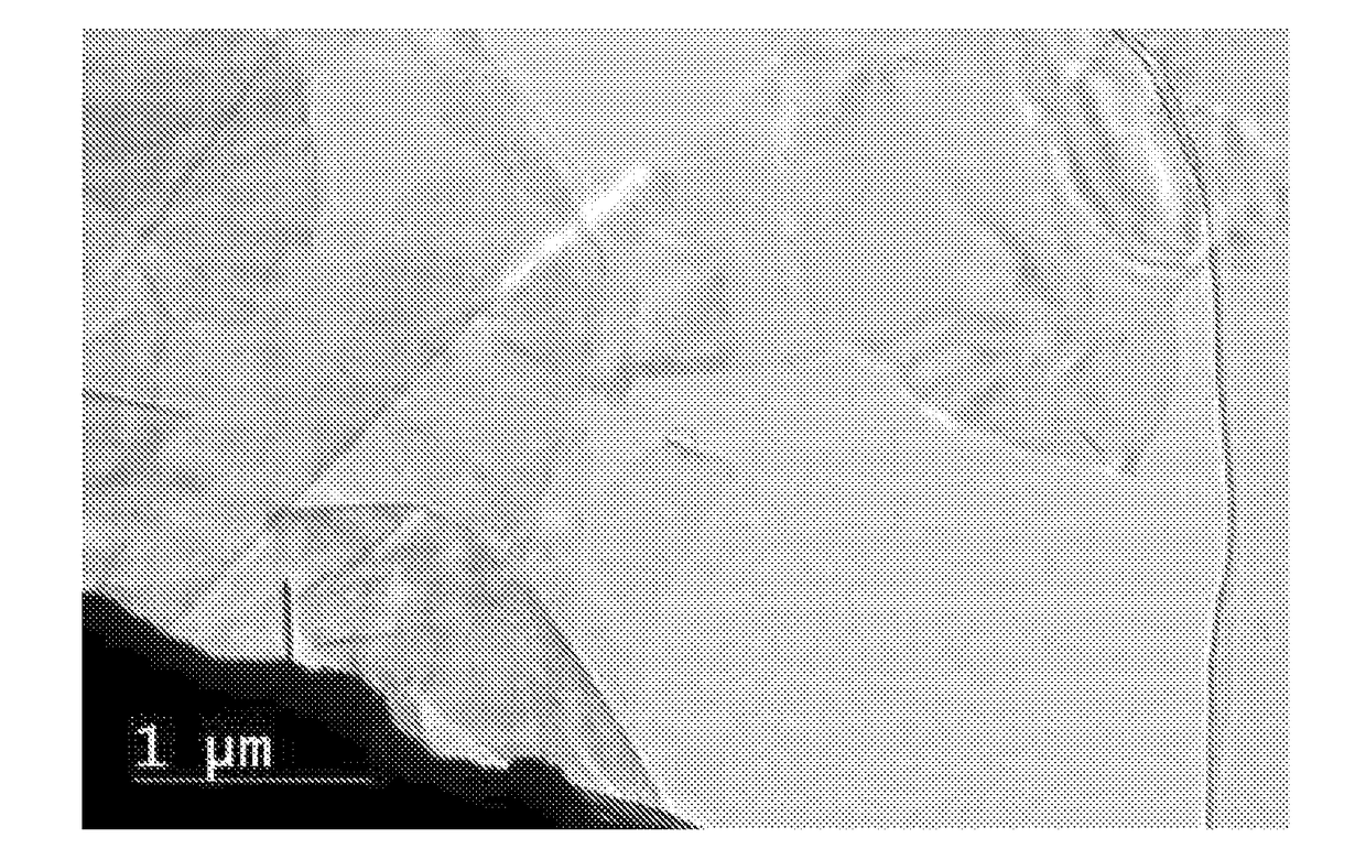 Halogenated graphene nanoplatelets, and production and uses thereof