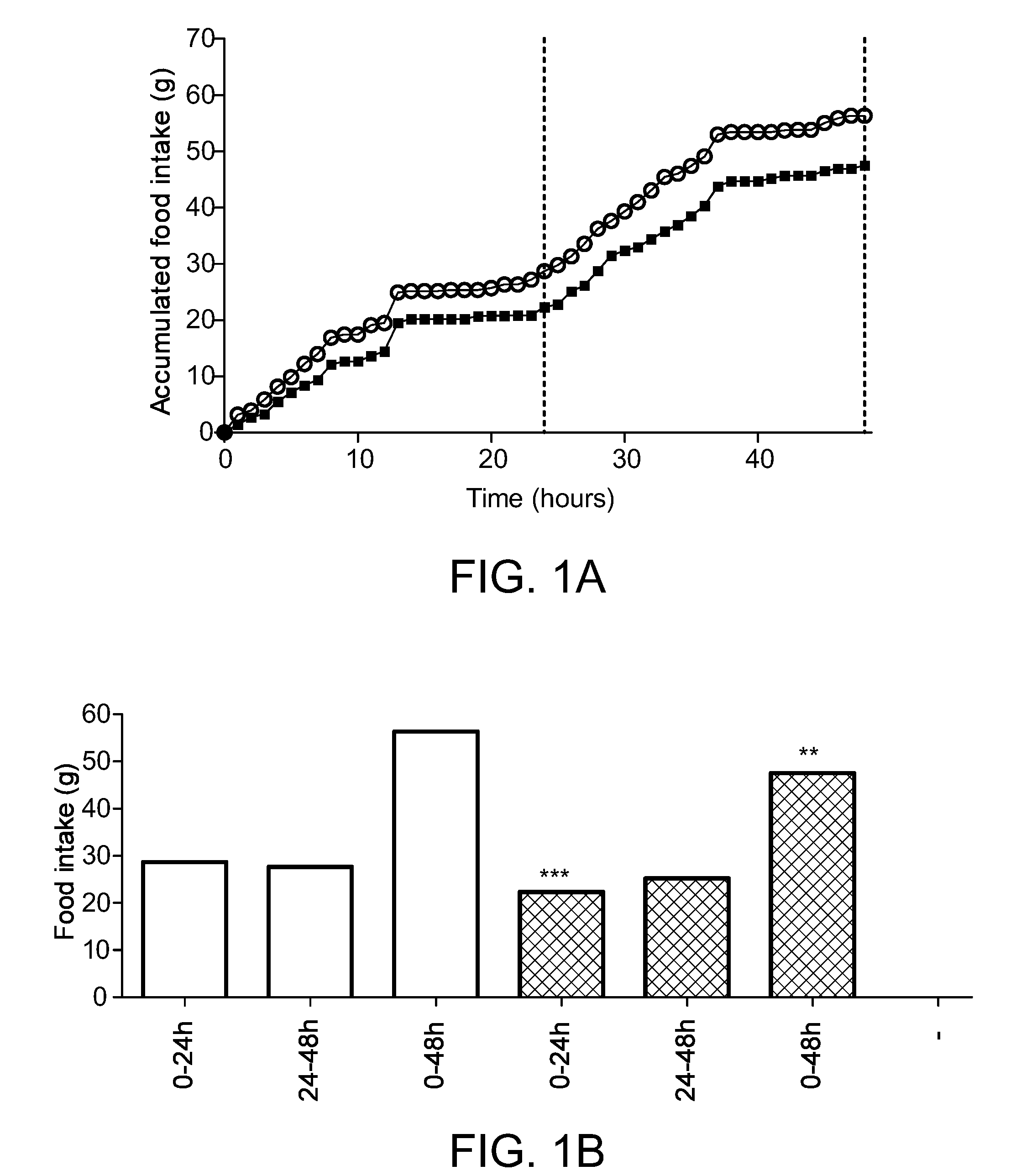 Amylin derivatives