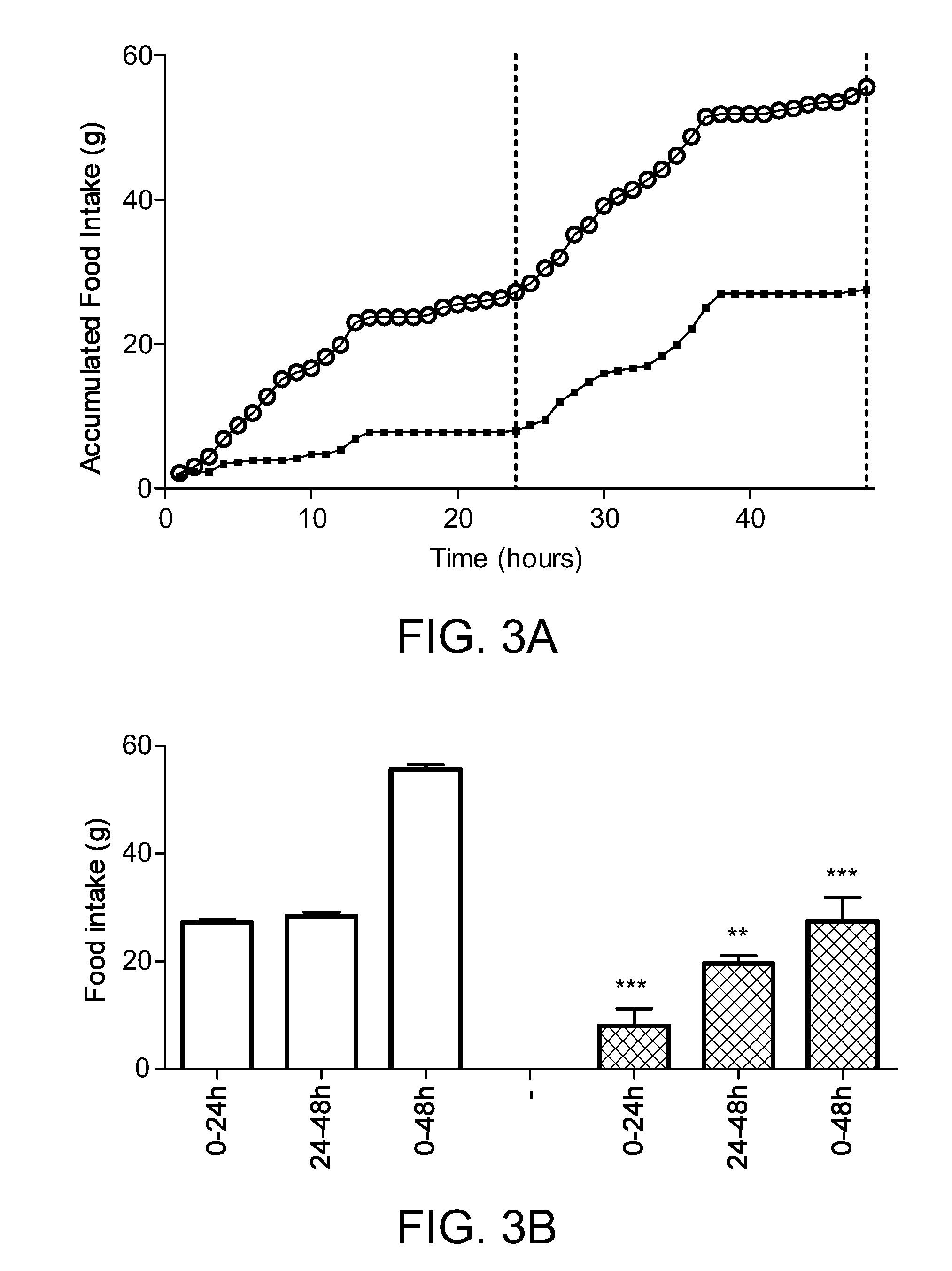 Amylin derivatives