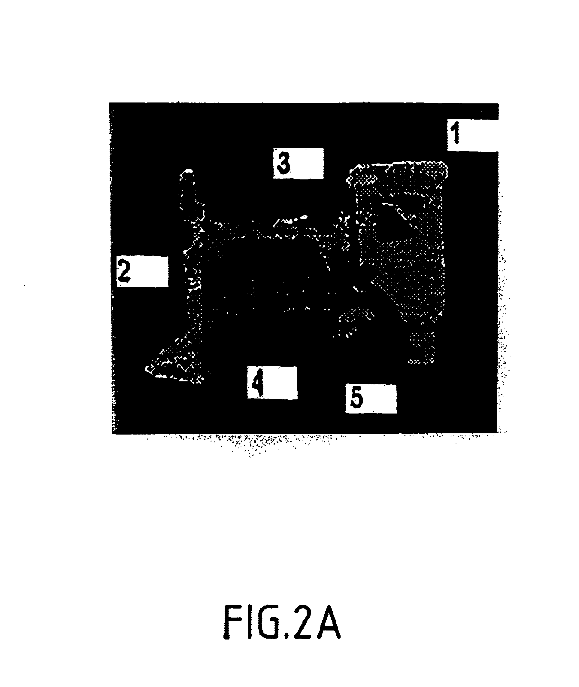 Method and apparatus for representing database and query information using interval hash tree