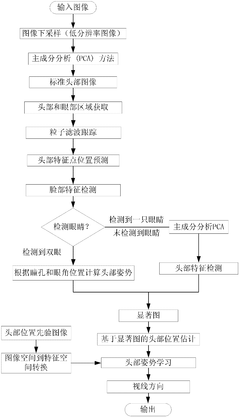 Automatic calibrating and tracking system of driver sight line