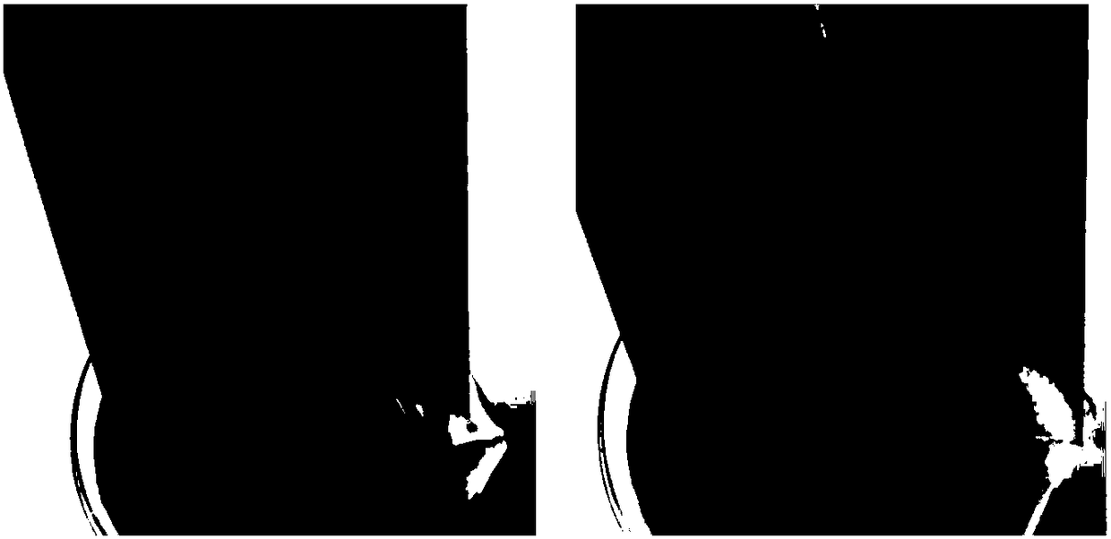 Ultraviolet light/sunlight cured fluorine-free antifouling coating and preparation method thereof