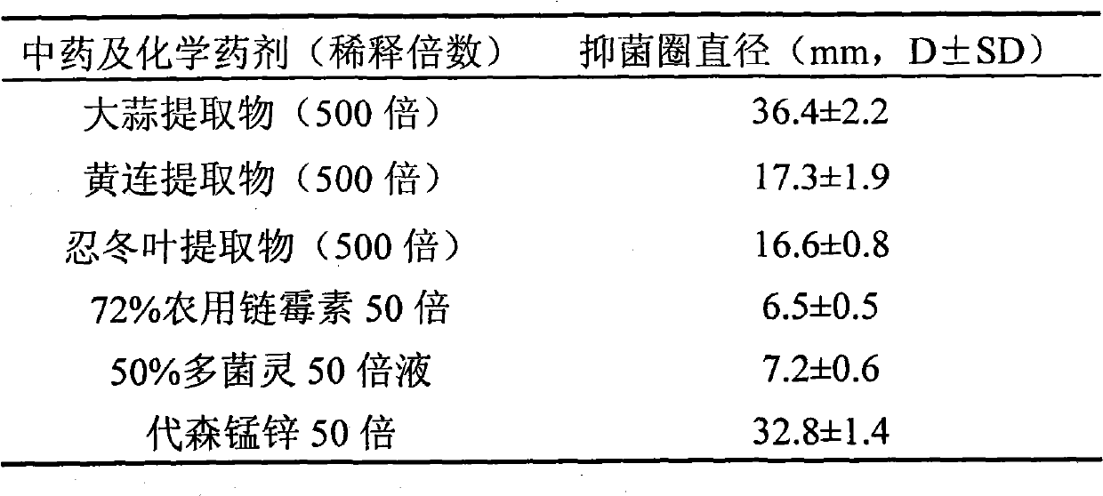 Chinese medicine bactericidal agent for preventing and treating soft rot of konjak