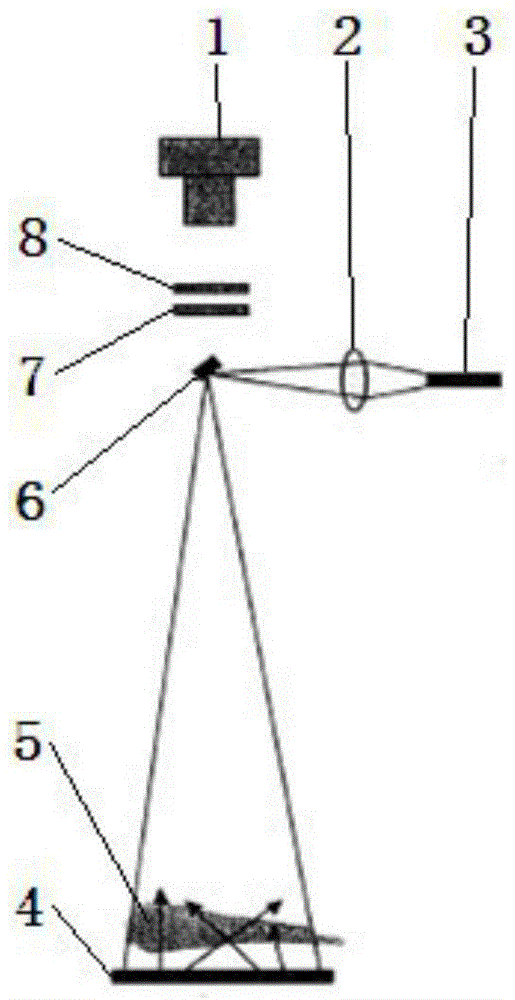 Soot measurement system and soot measurement method by extinction method with pre-positioned light source