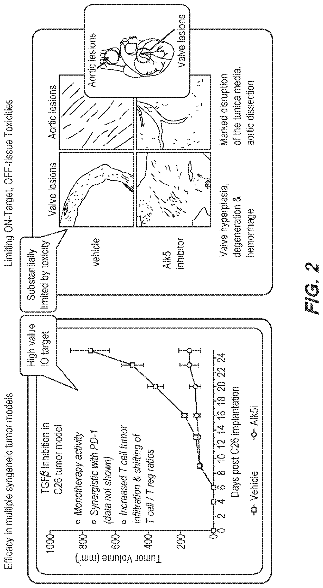 Method of using a bispecific antibody to conditionally inhibit a receptor signaling complex