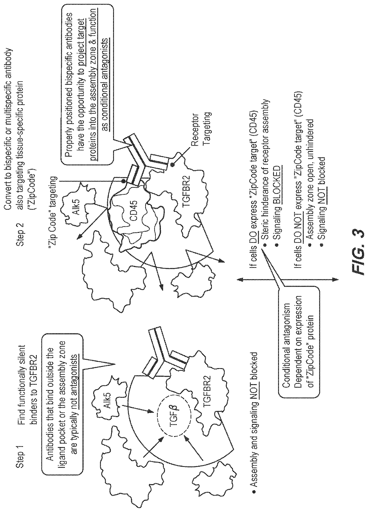 Method of using a bispecific antibody to conditionally inhibit a receptor signaling complex