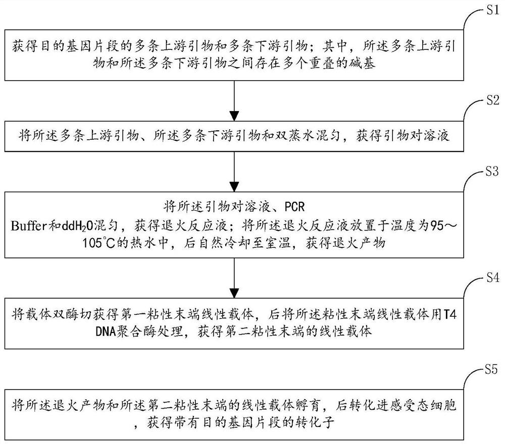 Synthesis method of target gene segment