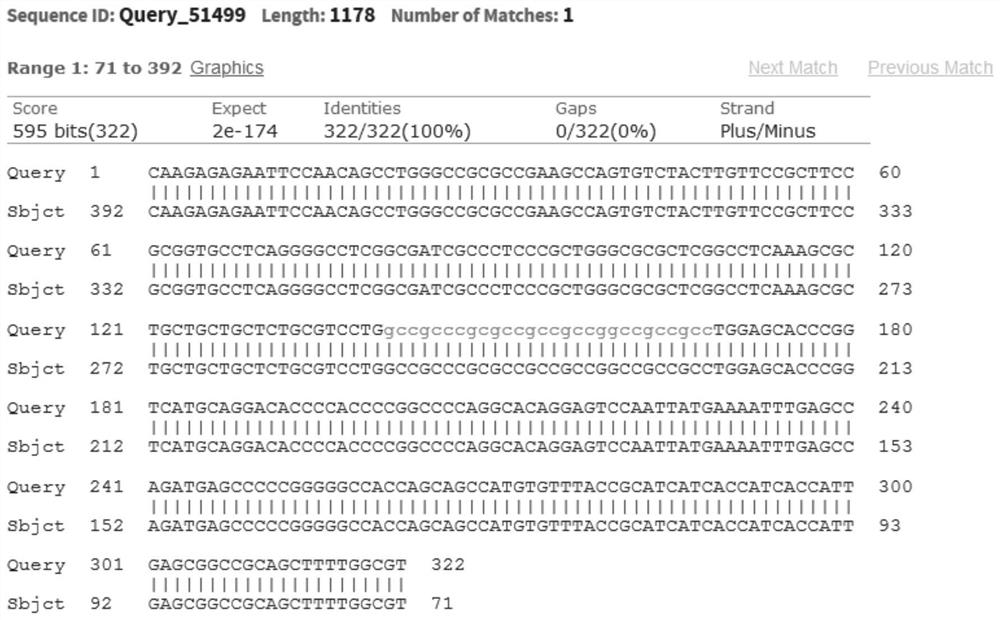 Synthesis method of target gene segment