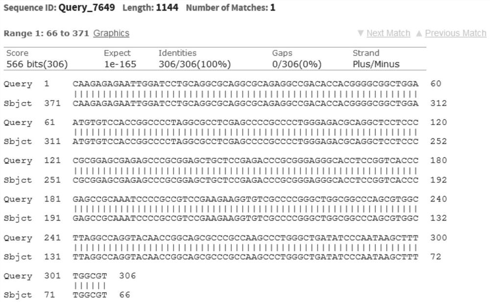 Synthesis method of target gene segment