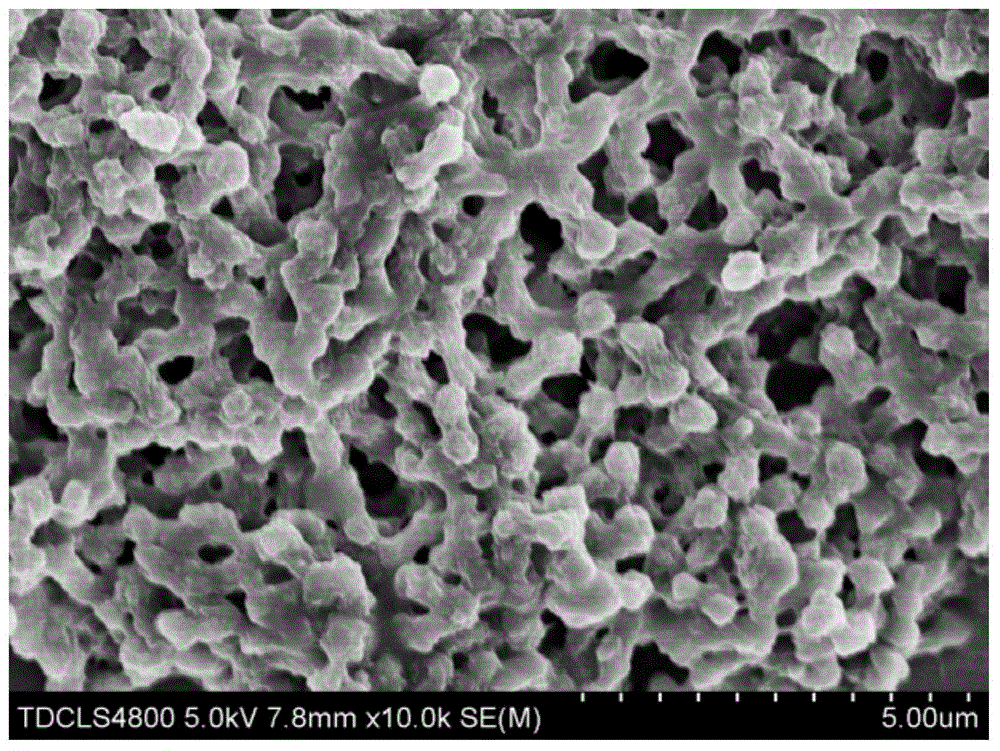 Preparation method of assembly of carbon quantum dots (CQDS)