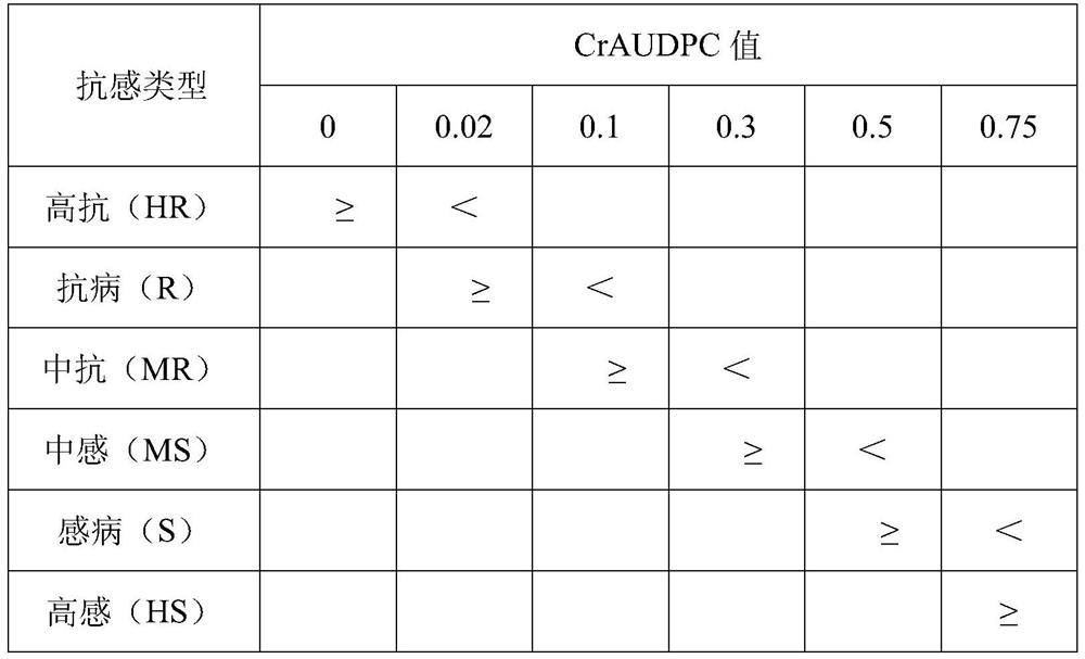 Resistance evaluation method for potato late blight