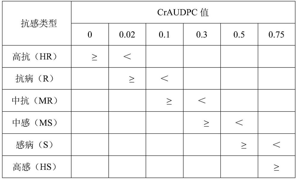 Resistance evaluation method for potato late blight