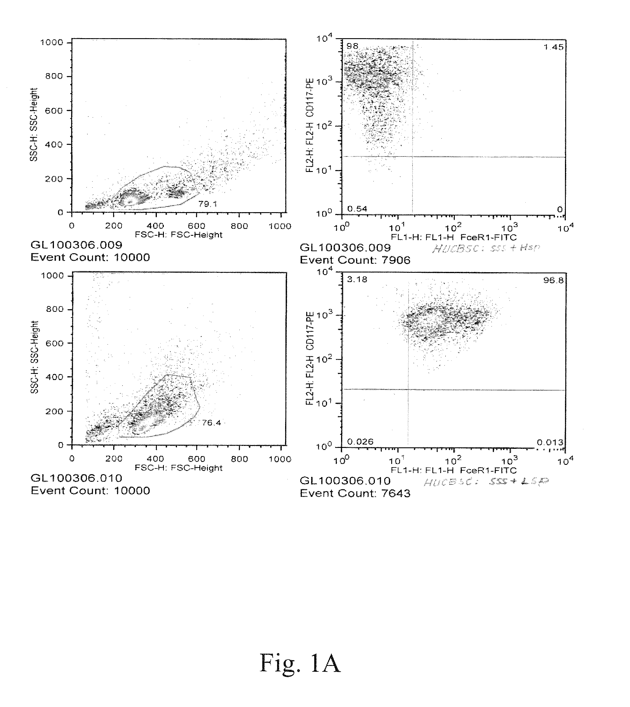 Human mast cell line and uses thereof