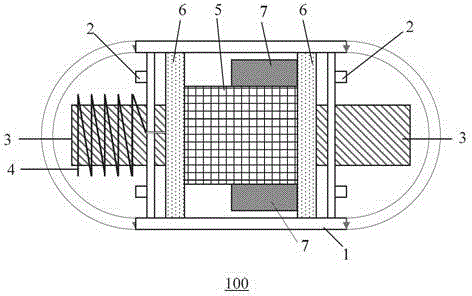 Capsule endoscope and detection device