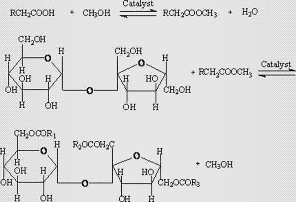 Production method of sucrose ester and use thereof in preparation of special antioxidant for oil