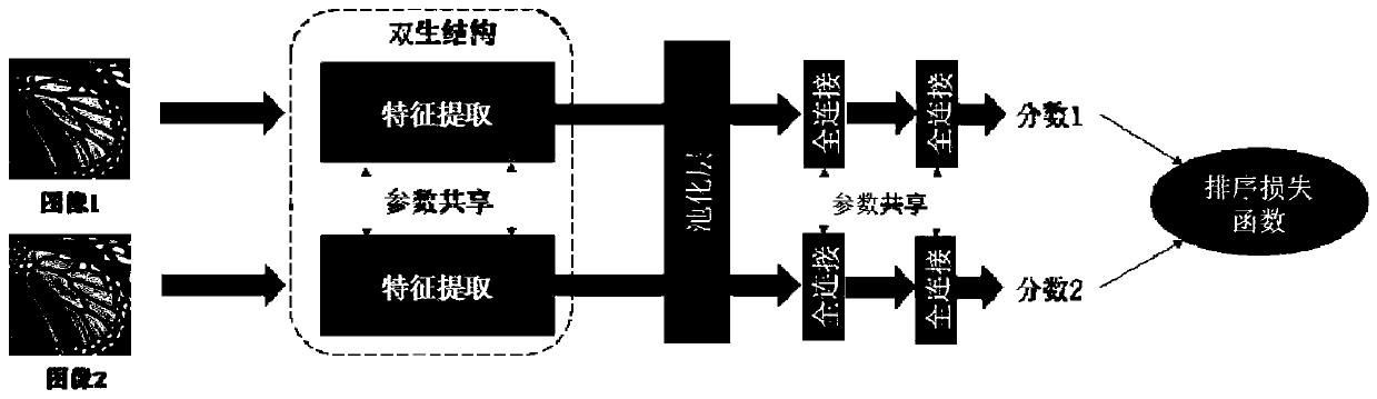 Super-resolution image reconstruction method, device and equipment