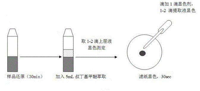 One-step color-development screening method for banned azo-dye in dyeing textiles