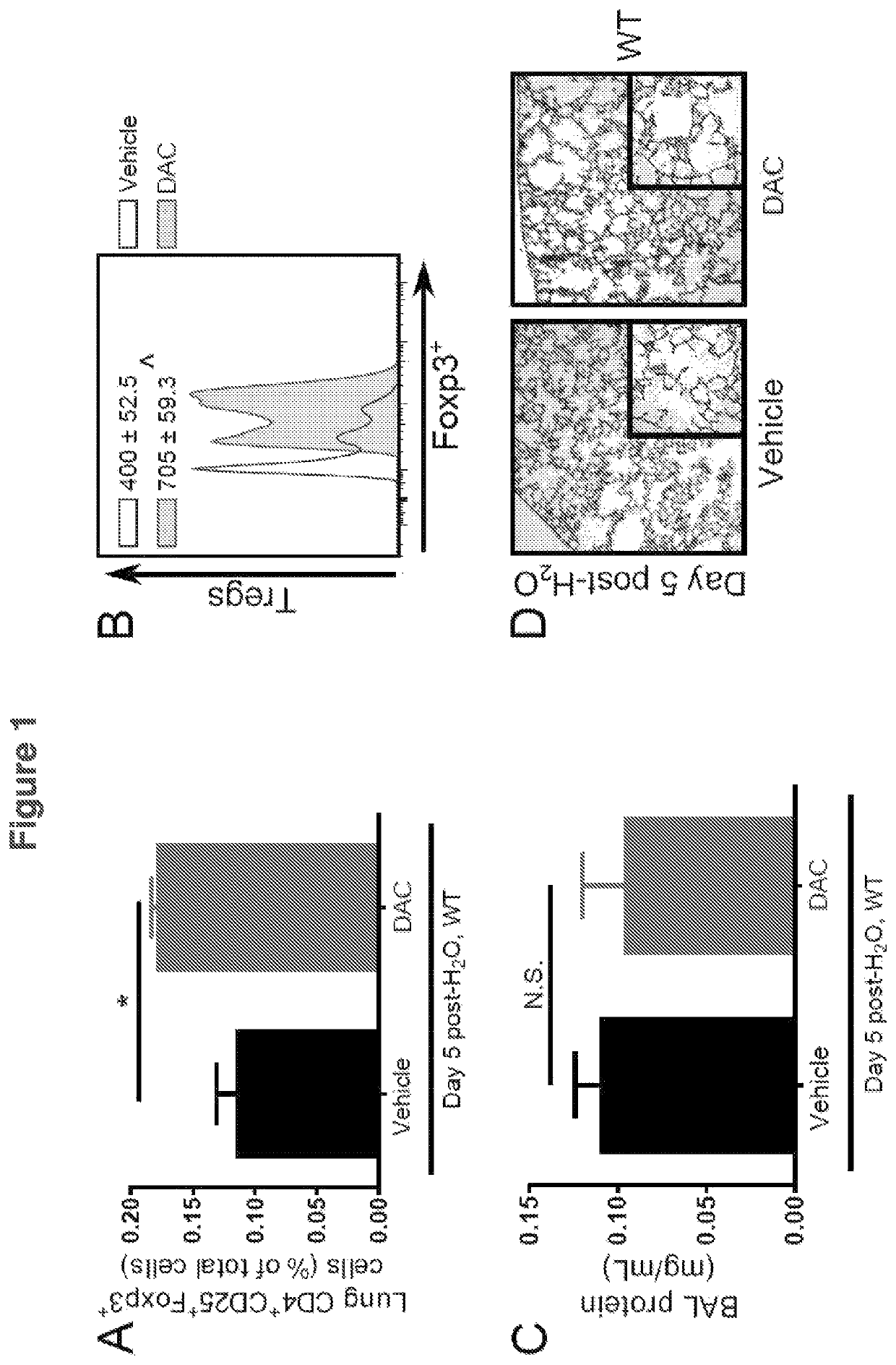 Compositions and methods to accelerate resolution of acute lung inflammation