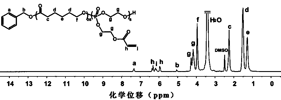 Random copolymer based on polyphosphoester as well as preparation method and application thereof