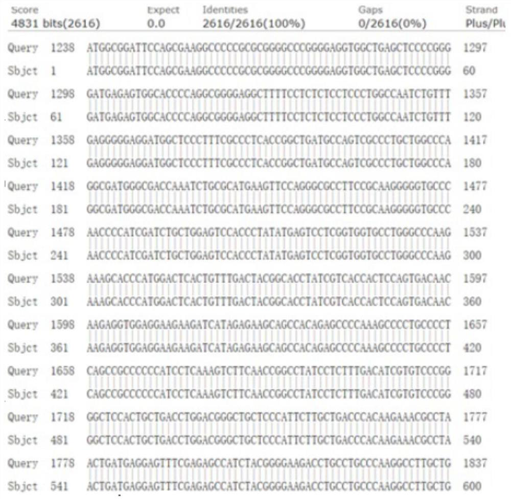 Recombinant TRPV4 protein and preparation method thereof