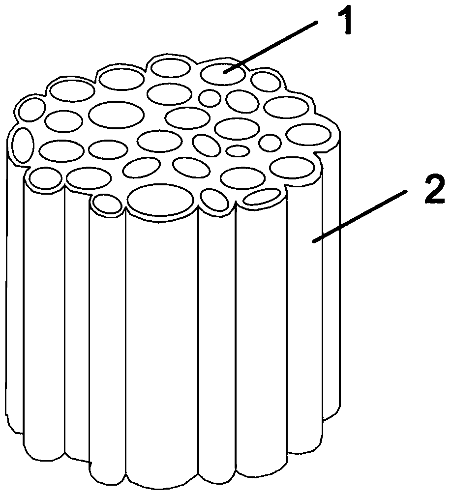 A micro-nanotube array nickel biomimetic material and its preparation method