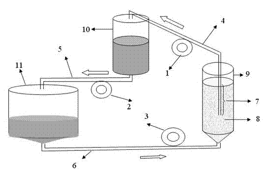 Method for preparing swine fever live vaccines