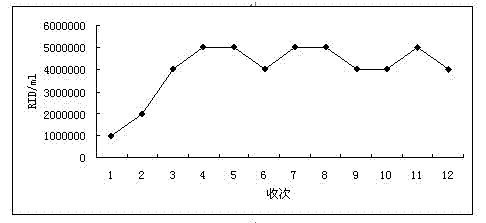 Method for preparing swine fever live vaccines