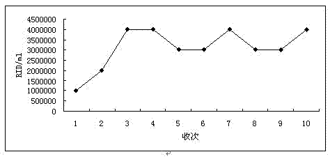 Method for preparing swine fever live vaccines