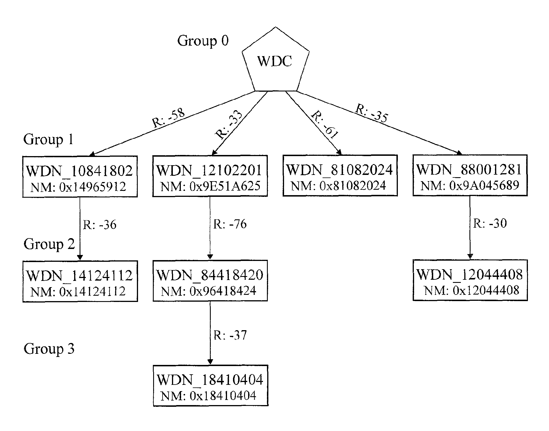 Wireless data networking