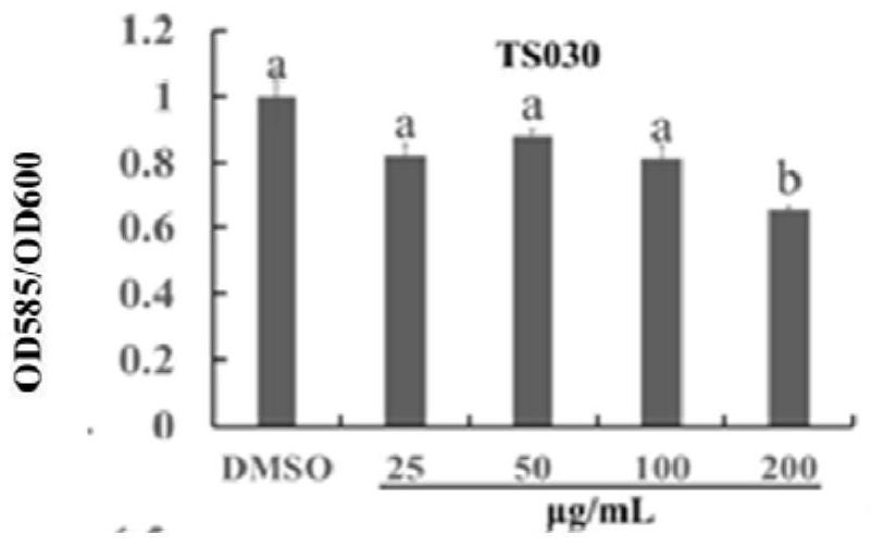 Methyl cinnamate as a quorum sensing inhibitor and its application in the treatment of bacterial diseases