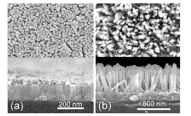 Organic/inorganic hybridization solar cell based on zinc oxide (ZnO) homogeneous core-shell structure nanorod array and production method thereof