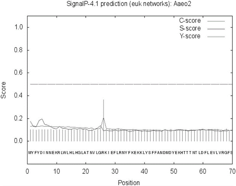 Thermophilic esterase derived from aquifex aeolicus strain and functional verification of thermophilic esterase